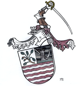 Schlaikier Coat of Arms